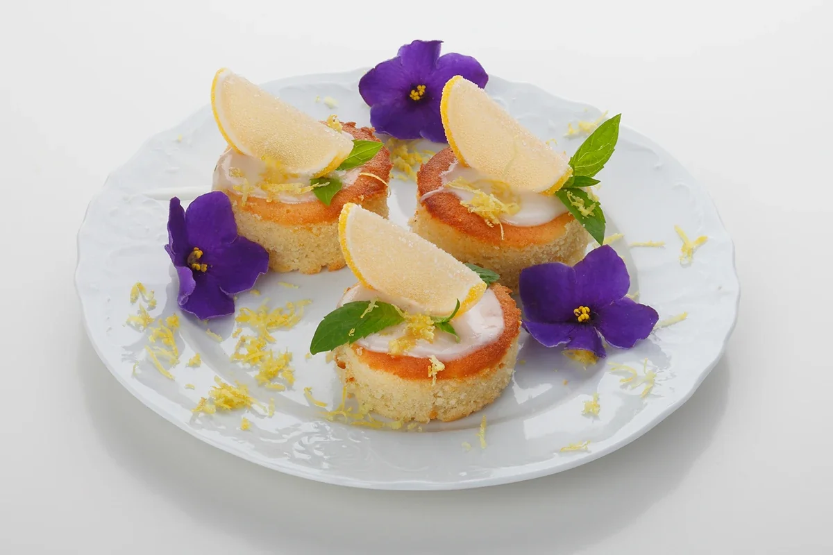 Cookery Magic — 2015 · From invitation to selection, view 02